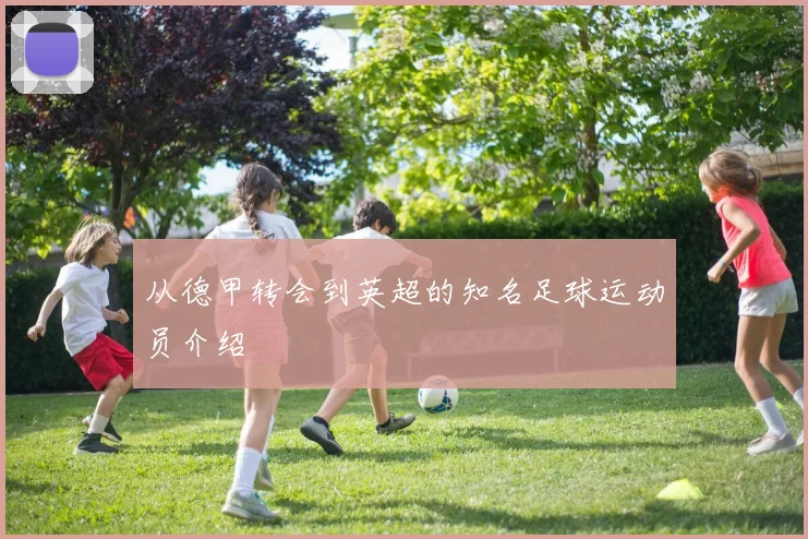 从德甲转会到英超的知名足球运动员介绍