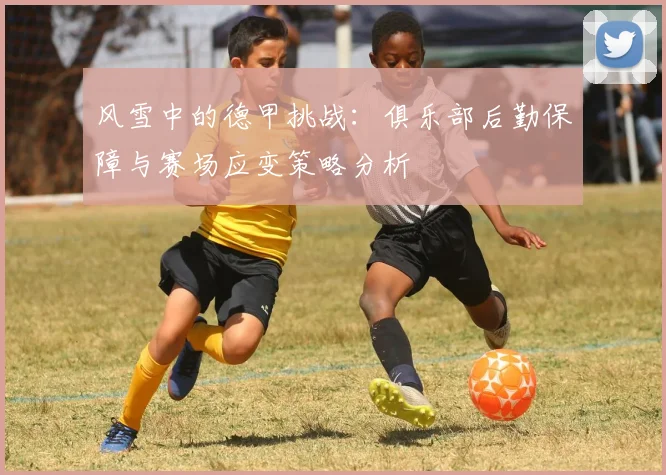 风雪中的德甲挑战:俱乐部后勤保障与赛场应变策略分析